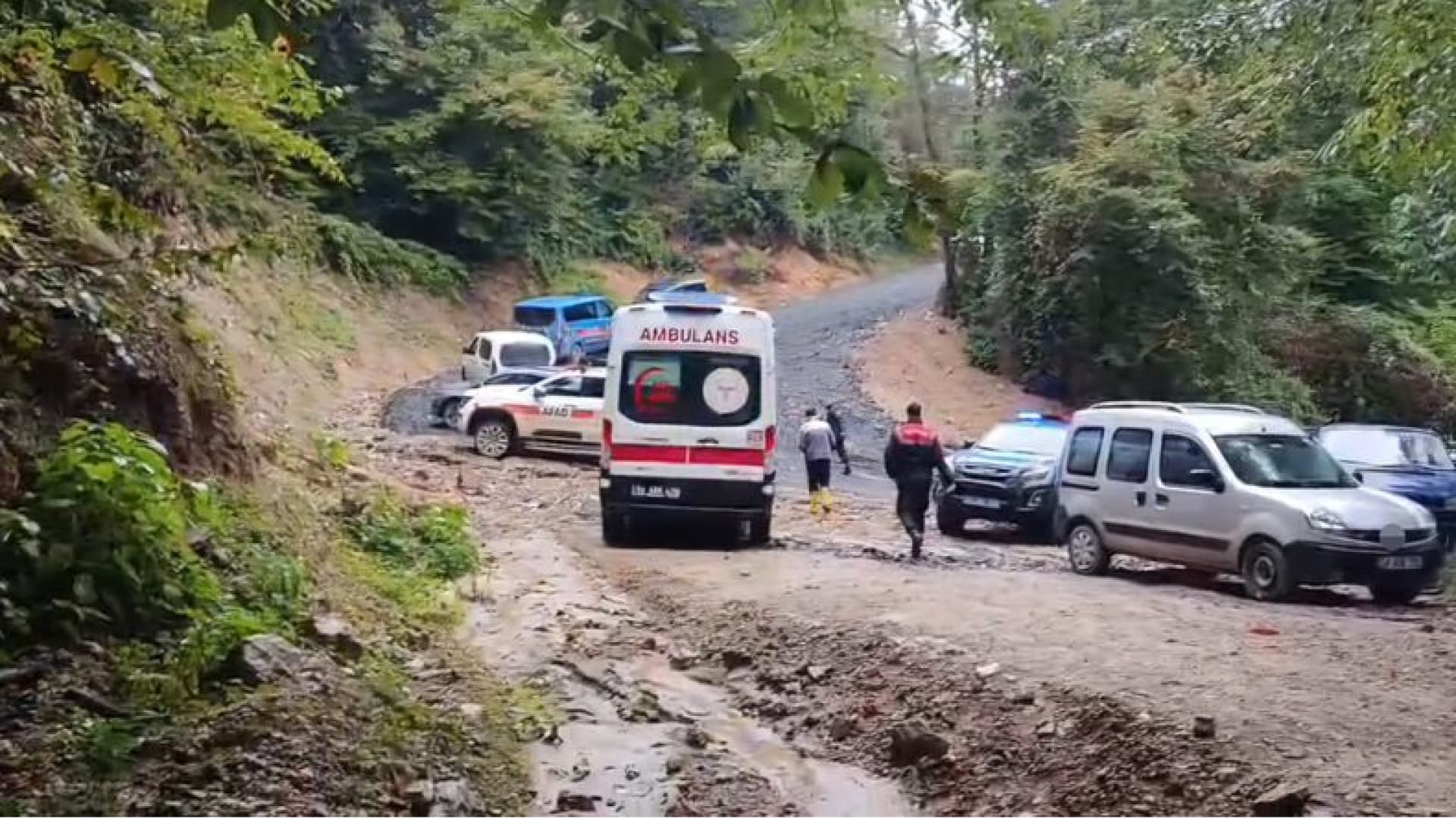 Kestane toplamak için girdiği ormanda ne oldu?