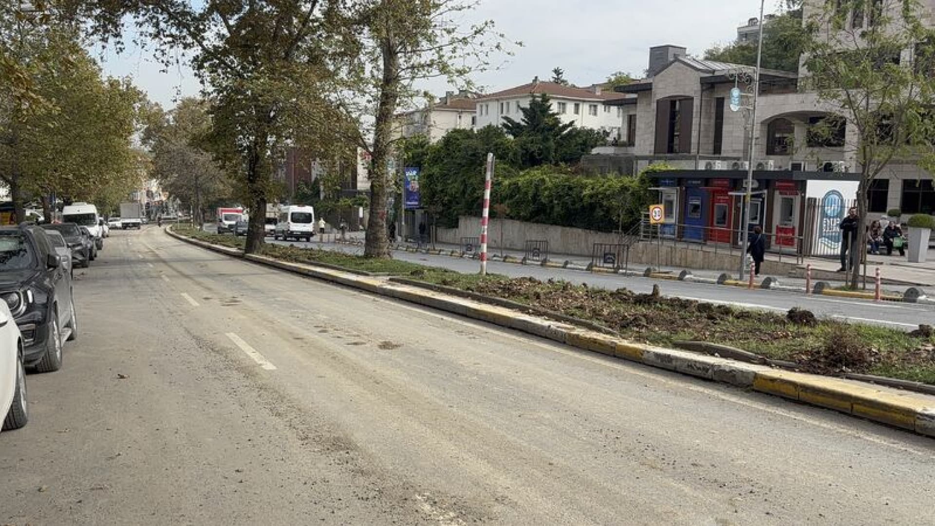 Eyüpsultan'da "ağaçlar kesildi" iddiasına tepki