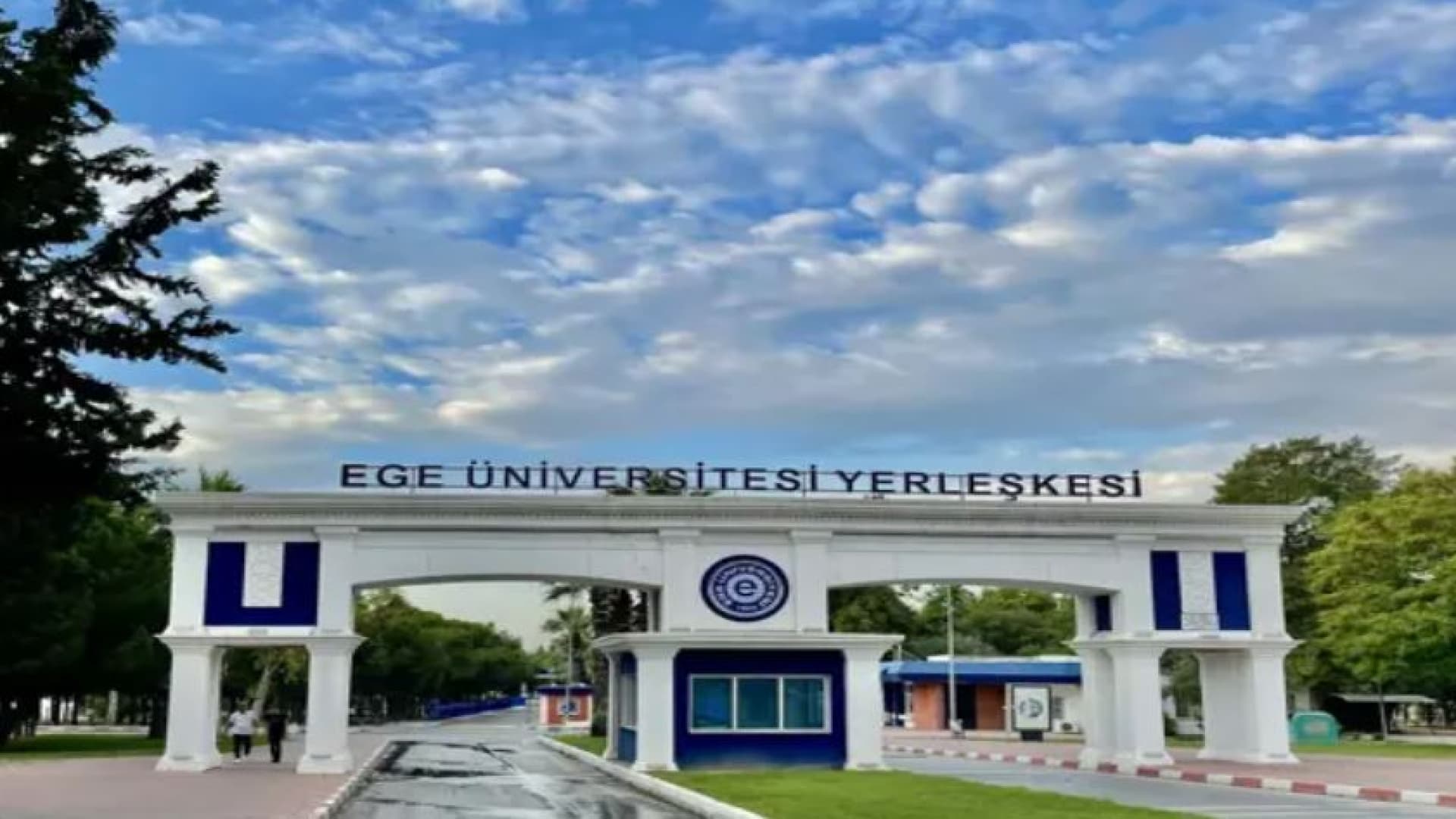 'Kediler zehirlendi' iddiasına yanıt