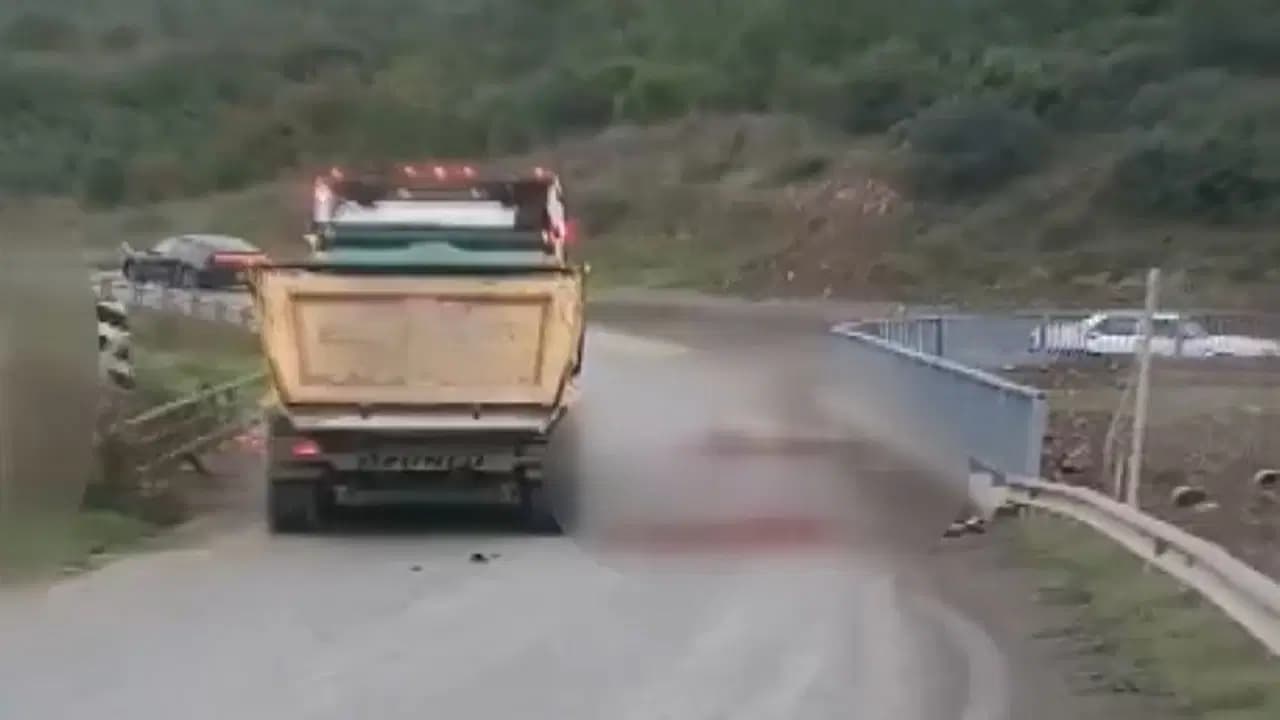 Arnavutköy’de otomobilin çarptığı at öldü: 3 kişi yaralandı