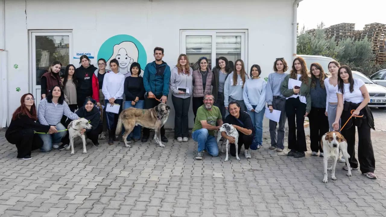 Ege Üniversitesi’nde toplanan 83 can dost yeni yuvalarına kavuştu
