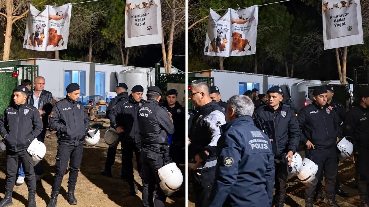 İzmir Ege Üniversitesi'ne gece yarısı baskını... Yaklaşık 200 köpek toplatıldı, kampüste arbede yaşandı!