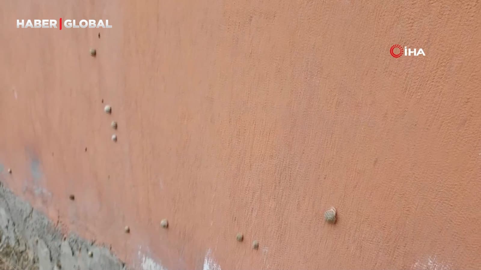 Depremin ardından ortaya çıktı! Şaşırtan görüntü kameraya böyle yansıdı