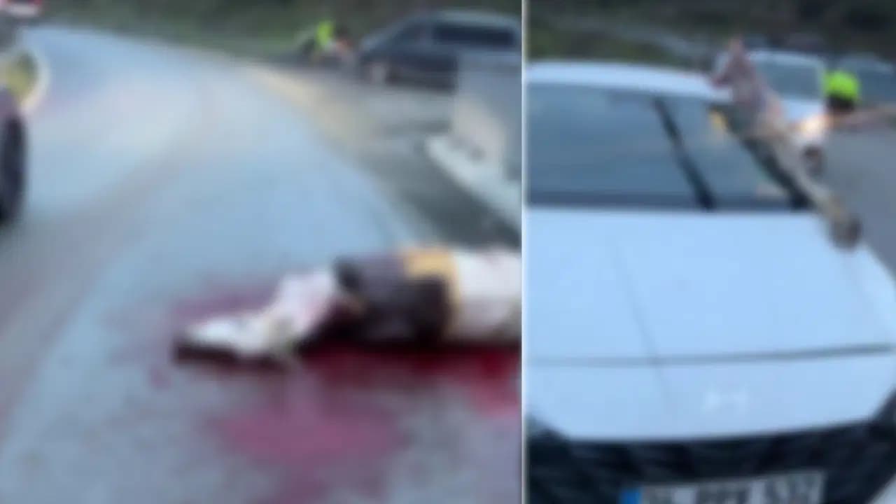 İstanbul'da korkunç kaza: Atın kopan bacağı otomobile saplandı, yaralılar var!